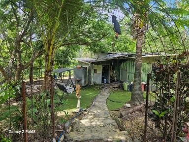 Lifestyle For Sale - QLD - Cooktown - 4895 - Peaceful 40-Acre Rural Retreat  (Image 2)