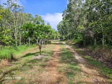 Lifestyle For Sale - QLD - Cooktown - 4895 - Peaceful 40-Acre Rural Retreat (Image 2)