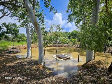 Lifestyle For Sale - QLD - Cooktown - 4895 - Peaceful 40-Acre Rural Retreat  (Image 2)