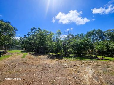 Lifestyle For Sale - QLD - Cooktown - 4895 - Peaceful 40-Acre Rural Retreat (Image 2)