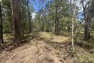 Residential Block For Sale - QLD - Glenwood - 4570 - BIG BLOCK, BIGGER OPPORTUNITY IN GLENWOOD!  (Image 2)