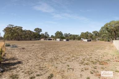Residential Block For Sale - VIC - Huntly - 3551 - Build or Explore the Subdivision Possibilities - 1.20 Acres (4,867sqm)  (Image 2)