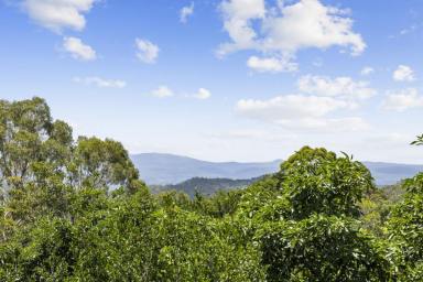 House For Sale - QLD - Blue Mountain Heights - 4350 - Elevated Family Living with Breathtaking Panoramic Views  (Image 2)