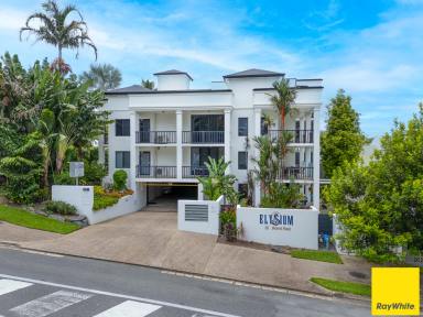 Apartment Auction - QLD - Palm Cove - 4879 - Executive Coastal Living in a Premium Palm Cove Position  (Image 2)