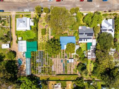 Other (Rural) For Sale - NSW - Wingham - 2429 - Wingham Nursery & Florist - Owned by the one family for 54 years (Image 2)