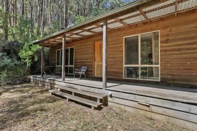 Lifestyle For Sale - VIC - Noojee - 3833 - PRIVATE ESCAPE FROM IT ALL  (Image 2)