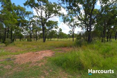 Residential Block For Sale - QLD - Dallarnil - 4621 - QUIET COUNTRY LIVING IN DALLARNIL  (Image 2)