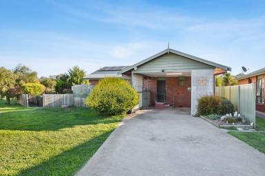Unit For Sale - VIC - Heathcote - 3523 - Easy Living in the Heart of Heathcote  (Image 2)