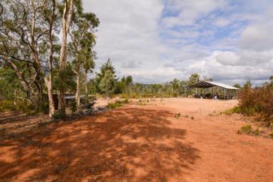 Lifestyle For Sale - NSW - Running Stream - 2850 - THE ULTIMATE OFF GRID ADVENTURE  (Image 2)