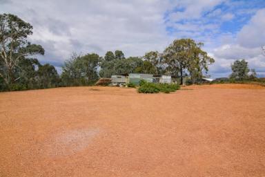 Lifestyle For Sale - NSW - Running Stream - 2850 - THE ULTIMATE OFF GRID ADVENTURE  (Image 2)