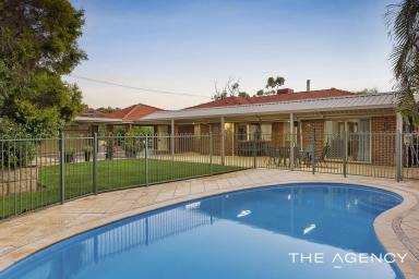 House For Sale - WA - Forrestfield - 6058 - Perfect Family Entertainer  (Image 2)