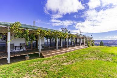 Mixed Farming Auction - NSW - Woodstock - 2793 - Fertile Grazing Property & A Stunning Home With Water Views!  (Image 2)