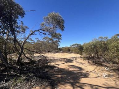 Lifestyle For Sale - SA - Cambrai - 5353 - Acquire, utilise and enhance your rural getaway  (Image 2)