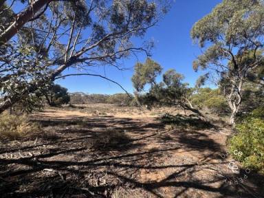 Lifestyle For Sale - SA - Cambrai - 5353 - Acquire, utilise and enhance your rural getaway  (Image 2)