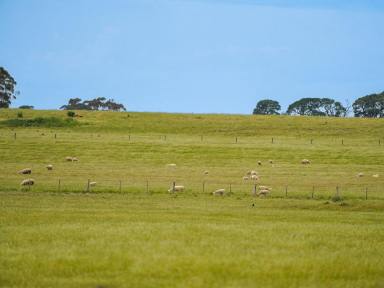 Livestock For Sale - VIC - Warrayure - 3301 - CENTRALLY SITUATED GRAZING COUNTRY  (Image 2)