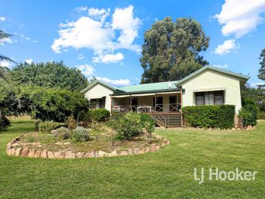 Acreage/Semi-rural For Sale - NSW - Inverell - 2360 - 'Kintore' – Dual Living on Approx. 6 Acres with Established Grounds  (Image 2)