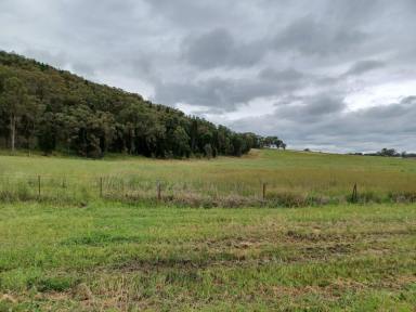 Residential Block For Sale - NSW - Eurunderee - 2850 - Enjoy your own slice of paradise. (Image 2)