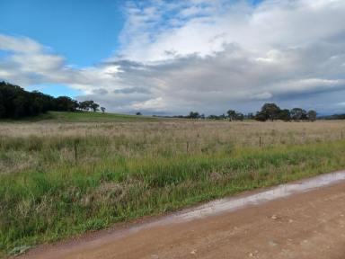 Residential Block For Sale - NSW - Eurunderee - 2850 - Enjoy your own slice of paradise. (Image 2)