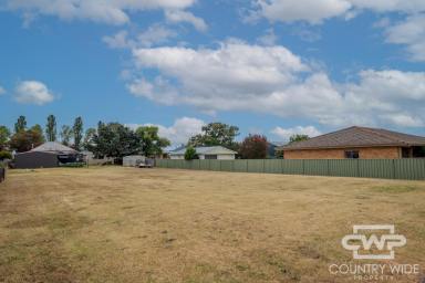 Residential Block For Sale - NSW - Glen Innes - 2370 - 964m² Town Block – Space to Build Your Vision  (Image 2)