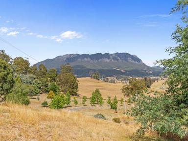 House For Sale - TAS - Paradise - 7306 - 70 Acres with Iconic Mount Roland Views + Multiple Living Options & Income Potential  (Image 2)