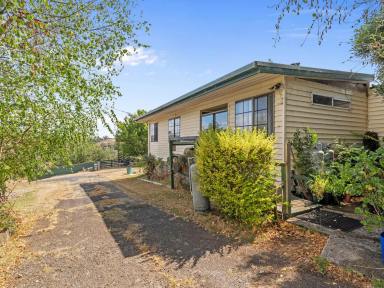 House For Sale - TAS - Paradise - 7306 - 70 Acres with Iconic Mount Roland Views + Multiple Living Options & Income Potential  (Image 2)