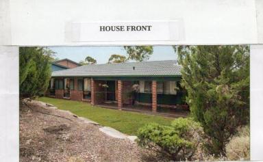 House Leased - SA - Flagstaff Hill - 5159 - FAMILY HOME FOR RENT  (Image 2)