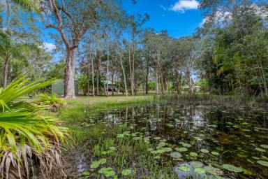 House For Lease - QLD - Doonan - 4562 - Acreage Property With a Shed!  (Image 2)