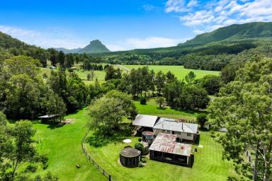 Lifestyle For Sale - NSW - Unumgar - 2474 - 8 Acres of Rural Bliss  (Image 2)
