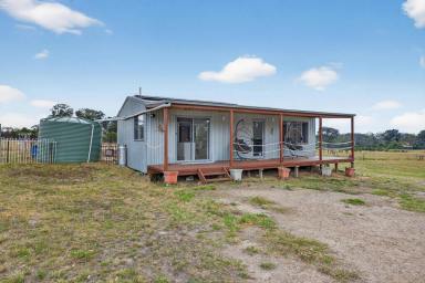 Livestock For Sale - VIC - Heyfield - 3858 - Off-Grid Serenity on approx. 40 acres (16 Hectares) – Lifestyle Living at Its Finest  (Image 2)