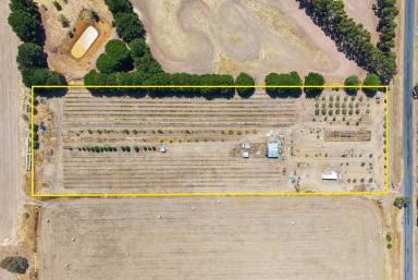 Residential Block For Sale - VIC - Lismore - 3324 - YOUR VERY OWN GARDEN OF EDEN AWAITS!  (Image 2)