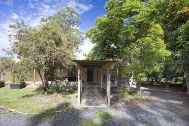 Acreage/Semi-rural For Sale - NSW - Nabiac - 2312 - 19 Acres with Renovation Potential  (Image 2)