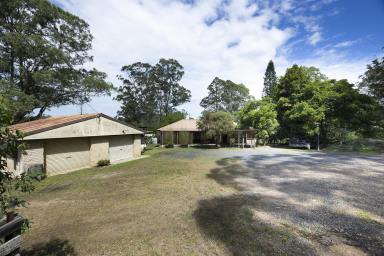 Acreage/Semi-rural For Sale - NSW - Nabiac - 2312 - 19 Acres with Renovation Potential  (Image 2)