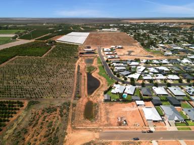 Residential Block For Sale - NSW - Gol Gol - 2738 - Expansive 880m2 Allotment in Sought After Gol Gol  (Image 2)