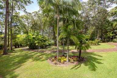 House For Sale - QLD - Doonan - 4562 - Private, Usable Acreage in a Quiet Doonan Enclave  (Image 2)