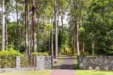 House For Sale - QLD - Doonan - 4562 - Private, Usable Acreage in a Quiet Doonan Enclave  (Image 2)