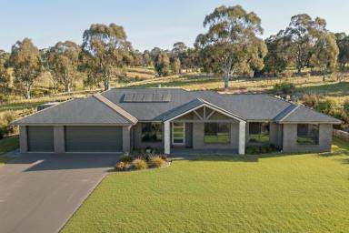 House For Sale - NSW - Mudgee - 2850 - MODERN BRAND NEW HOME ON 2,010SQM BLOCK  (Image 2)