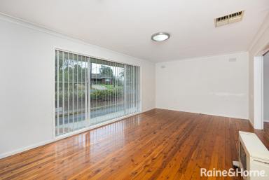 House For Sale - NSW - Mount Austin - 2650 - Brilliant First Home or Investment  (Image 2)