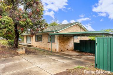 House For Sale - NSW - Mount Austin - 2650 - Brilliant First Home or Investment  (Image 2)