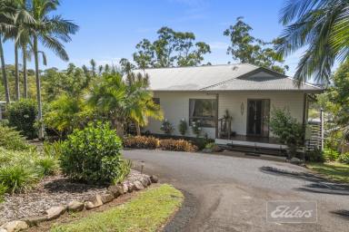 House For Sale - QLD - Cedar Pocket - 4570 - Acreage, Views and Granny Flat!  (Image 2)