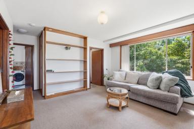 Unit For Lease - TAS - Glenorchy - 7010 - Convenient & Comfortable Living in Glenorchy  (Image 2)