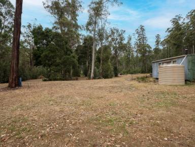 House For Sale - TAS - Wilmot - 7310 - Off-Grid Lifestyle Property with Natural Bushland Setting  (Image 2)