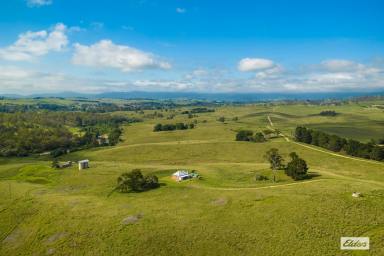 Mixed Farming For Sale - NSW - Kameruka - 2550 - "RIVERVIEW"  (Image 2)