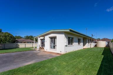 House For Sale - SA - Penola - 5277 - Large, Flexible & Low Maintenance Living in Central Penola  (Image 2)