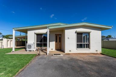 House For Sale - SA - Penola - 5277 - Large, Flexible & Low Maintenance Living in Central Penola  (Image 2)