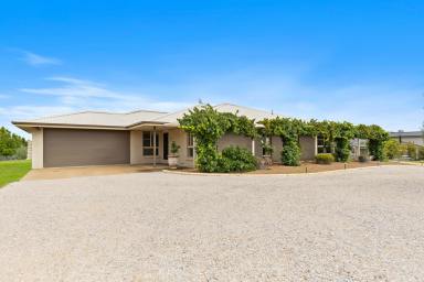 House For Sale - NSW - Mudgee - 2850 - WHERE SPACE MEETS SOPHISTICATION  (Image 2)