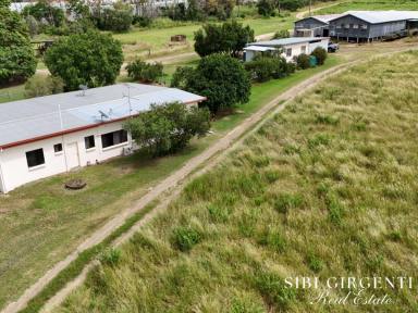 Mixed Farming For Sale - QLD - Dimbulah - 4872 - THRIVING DIMBULAH ORCHARD OPPORTUNITY  (Image 2)