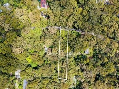 Residential Block For Sale - QLD - Springbrook - 4213 - Land in Springbrook Gold Coast Hinterland  (Image 2)