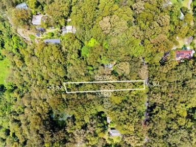 Residential Block For Sale - QLD - Springbrook - 4213 - Land in Springbrook Gold Coast Hinterland (Image 2)