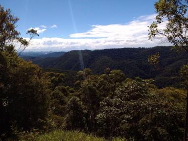 Residential Block For Sale - QLD - Springbrook - 4213 - Land in Springbrook Gold Coast Hinterland (Image 2)