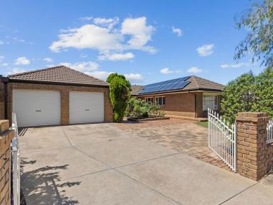 House For Sale - SA - Clovelly Park - 5042 - Solid Brick Family Entertainer Home with Pool and Huge block! Approx. 876sqm  (Image 2)
